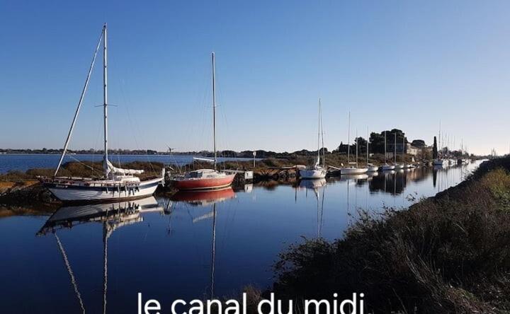 Le Corinthe - Appt Classe 3 Etoiles Et Climatise Marseillan  Extérieur photo